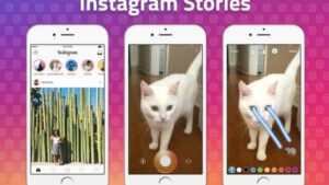 stories d'instagram avec un chat tirant des lasers