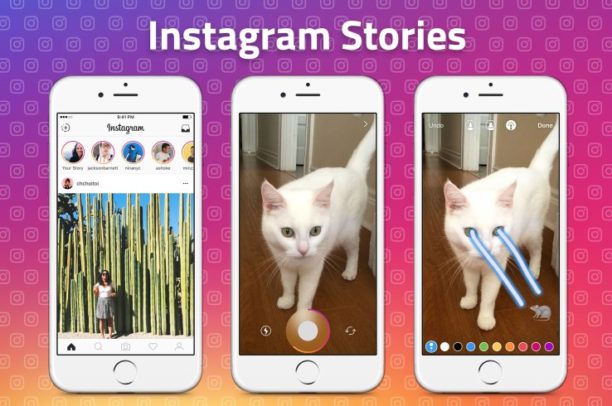 stories d'instagram avec un chat tirant des lasers