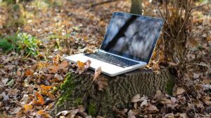 web et écologie, éco-conception, photo d'un ordinateur au pied d'un arbre