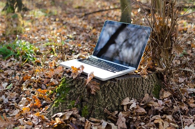 web et écologie, éco-conception, photo d'un ordinateur au pied d'un arbre
